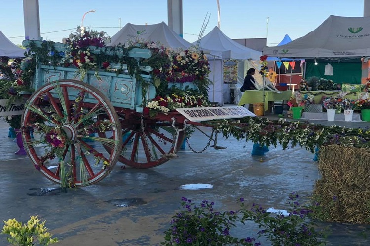 6º Fiesta de la Flor