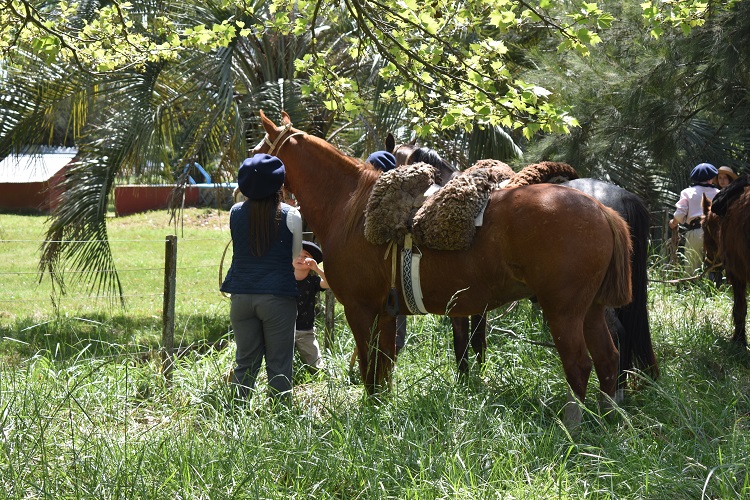 Descubrí Barrientos Entre Estancias Sabores y Tradiciones
