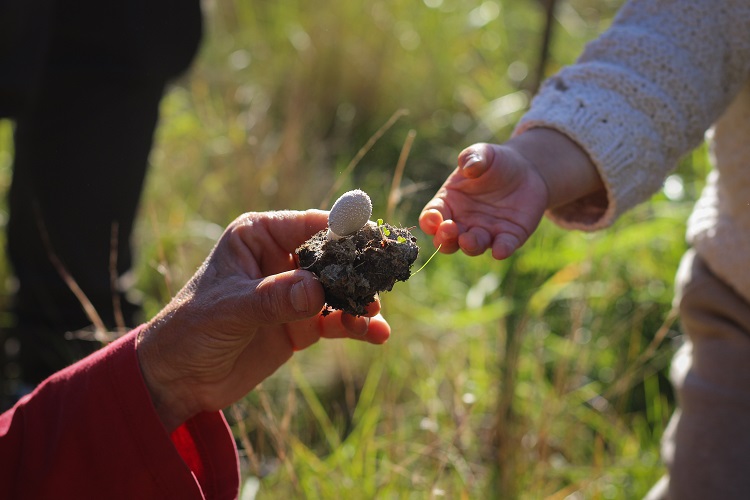 4º Claromecó Fungi 2026