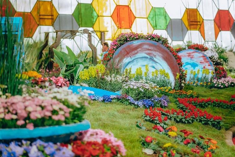63º Fiesta Nacional de la flor