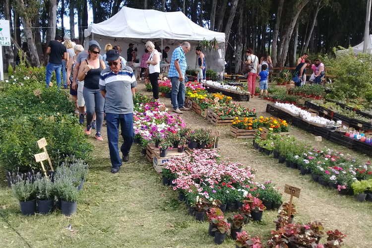 15º Expo Vivero Cazón