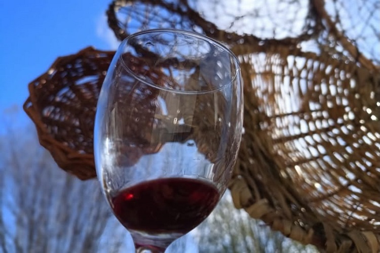 Viñedo y Bodega