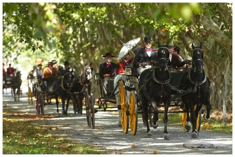 12º Encuentro del Caballo y el Carruaje