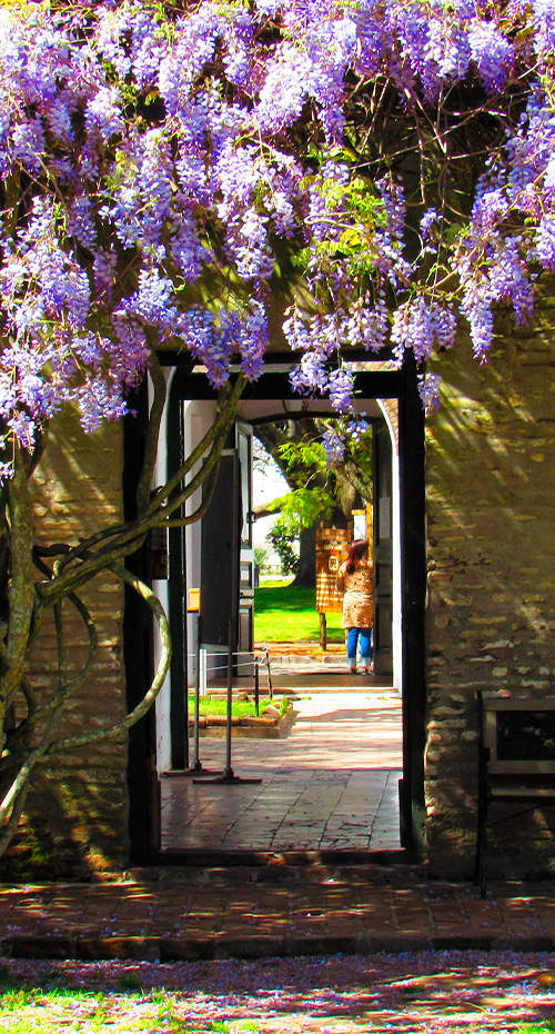 ATARDECER DE ENSUEÑO FRENTE A LA LAGUNA