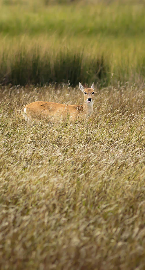 UN VIAJE POR CAMINOS RURALES Y COSTEROS