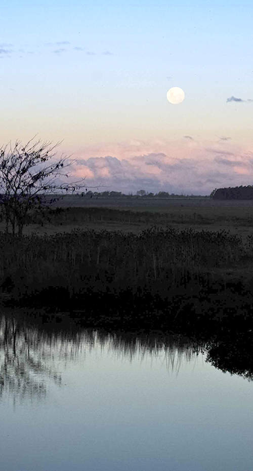 SUSURROS DE RÍO Y MAR