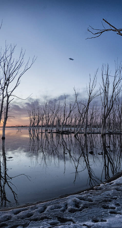 SAFARIS FOTOGRÁFICOS EN PAISAJES SERRANOS