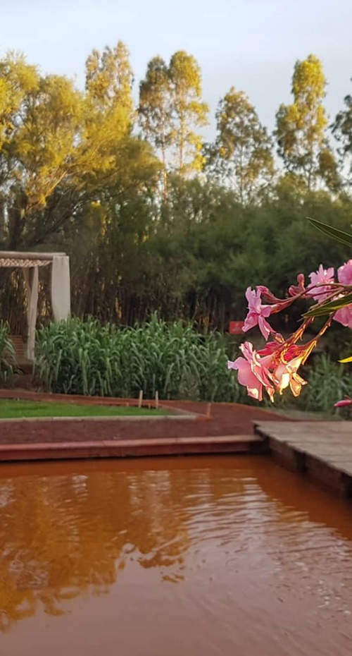 PATAGONIA BONAERENSE