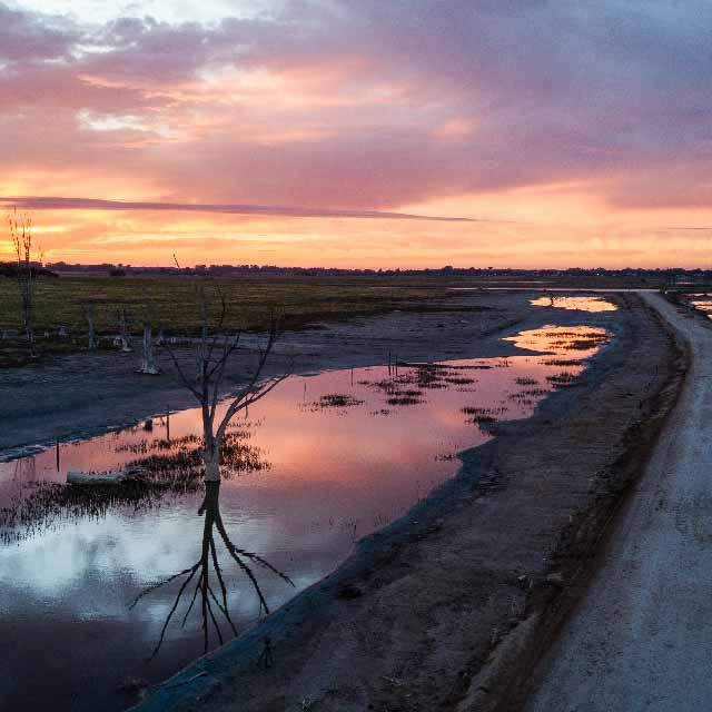 SAFARIS FOTOGRÁFICOS