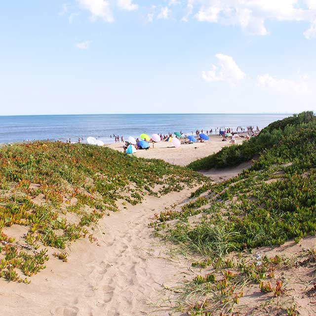 LAS SANTAS BONAERENSES