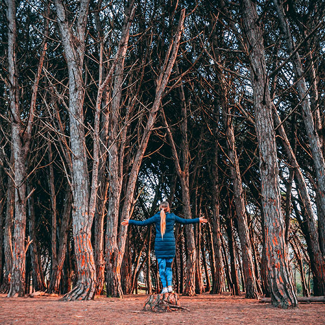 Tres lugares curiosos en Miramar