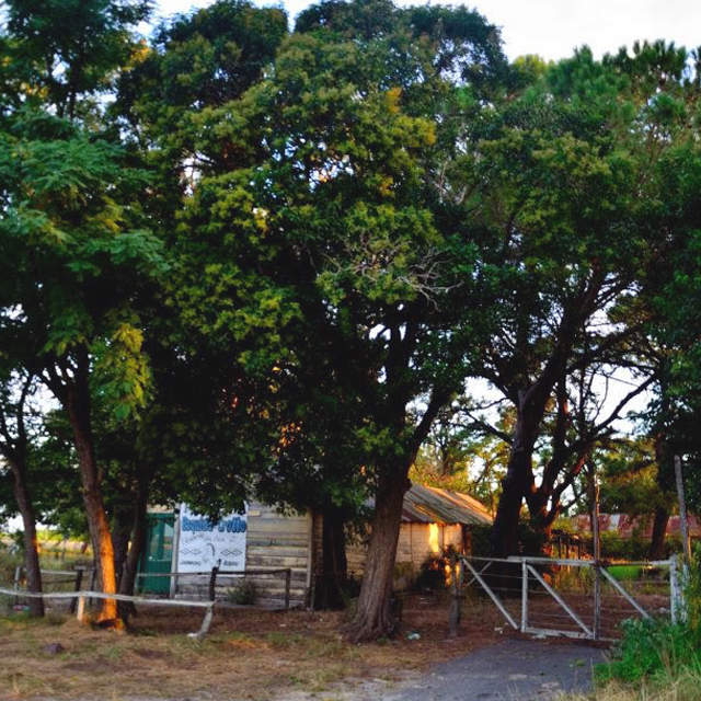 De paseo por Tordillo