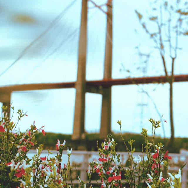 PASEOS RIBEREÑOS PARA DISFRUTAR