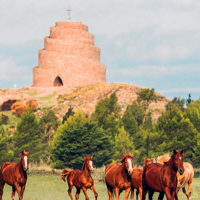 LOS SECRETOS DE PUAN Y CAMPANA