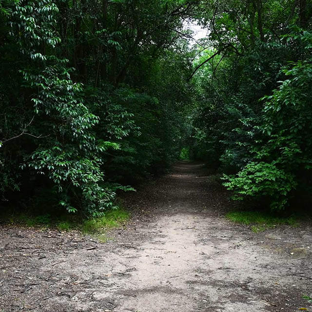 UN OASIS DE NATURALEZA EN LUJÁN