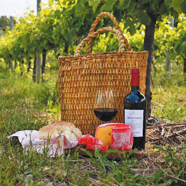 DOS DESTINOS VITIVINÍCOLAS AL SUR DE LA PROVINCIA