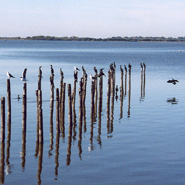SABORES CRIOLLOS, ESTANCIAS Y TERMAS