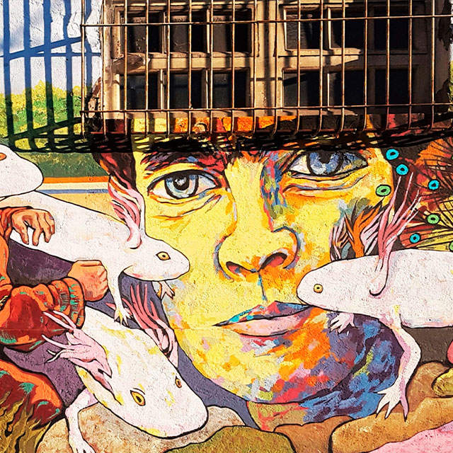 EL LUGAR DONDE VIVIÓ CORTÁZAR