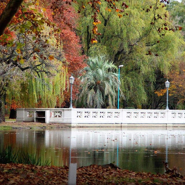 DE LA FIESTA DEL PURÉ A MANUELITA