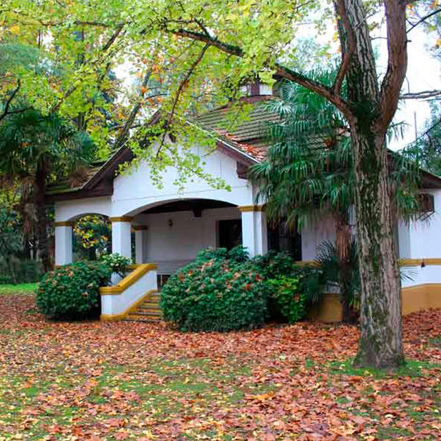 RAÍCES URBANAS Y PORTUARIAS