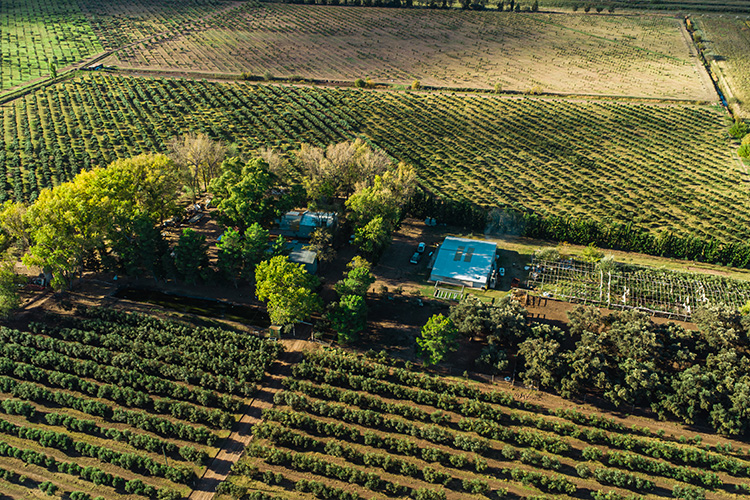 Finca La Asunción