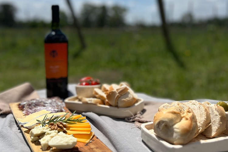 Bodega y Viñedo Media Hectárea